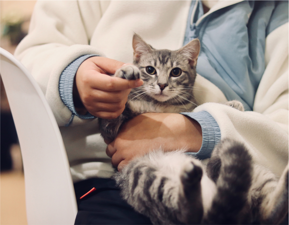 Contact page banner footer