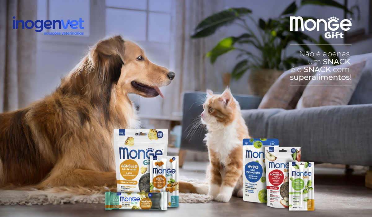 Monge Gift: Snacks Funcionais