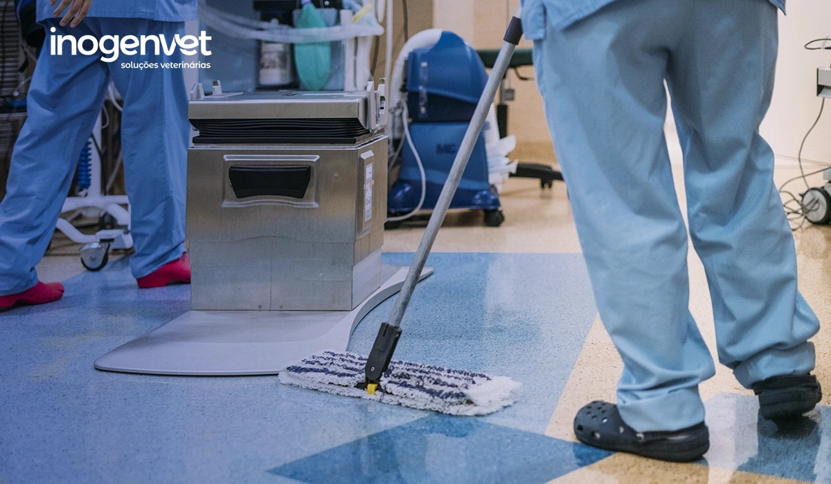 Higiene e Segurança em clínicas veterinárias: como garantir um ambiente livre de riscos 