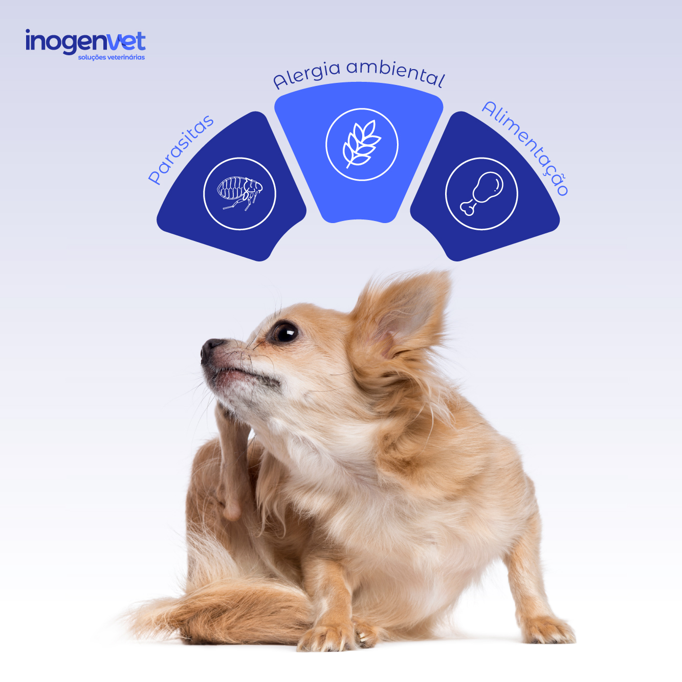 Diagnóstico diferencial e controlo precoce na abordagem a quadros alérgicos e parasitários