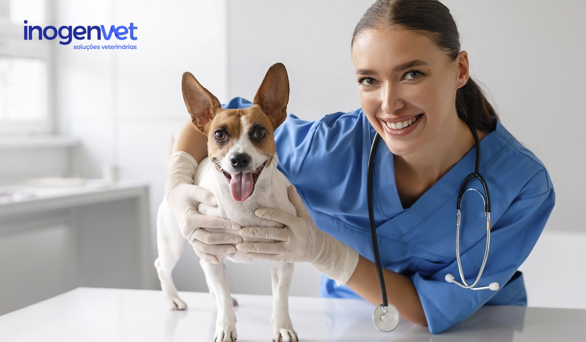 Cuidados de saúde para cães e gatos: 5 dicas para um animal saudável