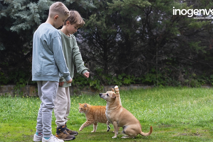 Benefícios das interações entre humanos e animais de estimação: mais saúde, mais felicidade! 