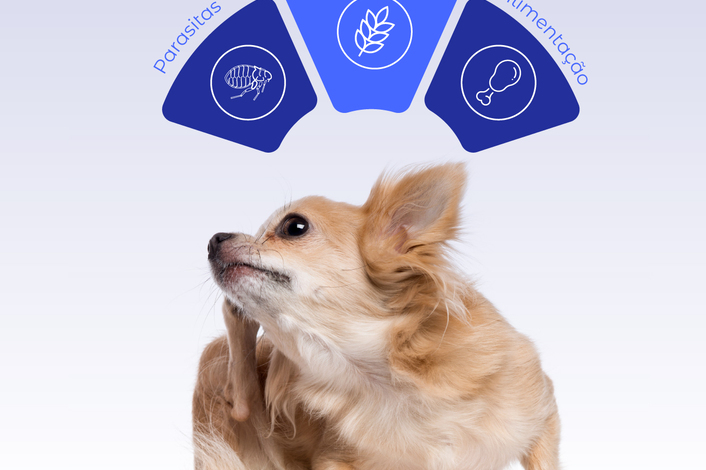 Diagnóstico diferencial e controlo precoce na abordagem a quadros alérgicos e parasitários