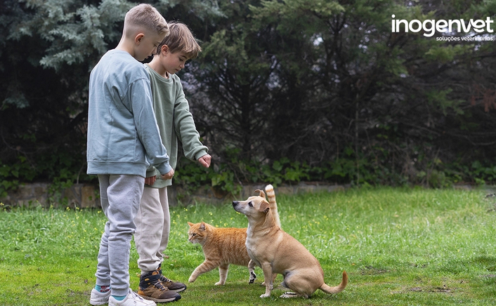 Benefícios das interações entre humanos e animais de estimação: mais saúde, mais felicidade! 