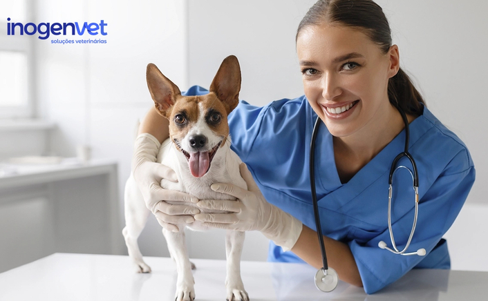 Cuidados de saúde para cães e gatos: 5 dicas para um animal saudável