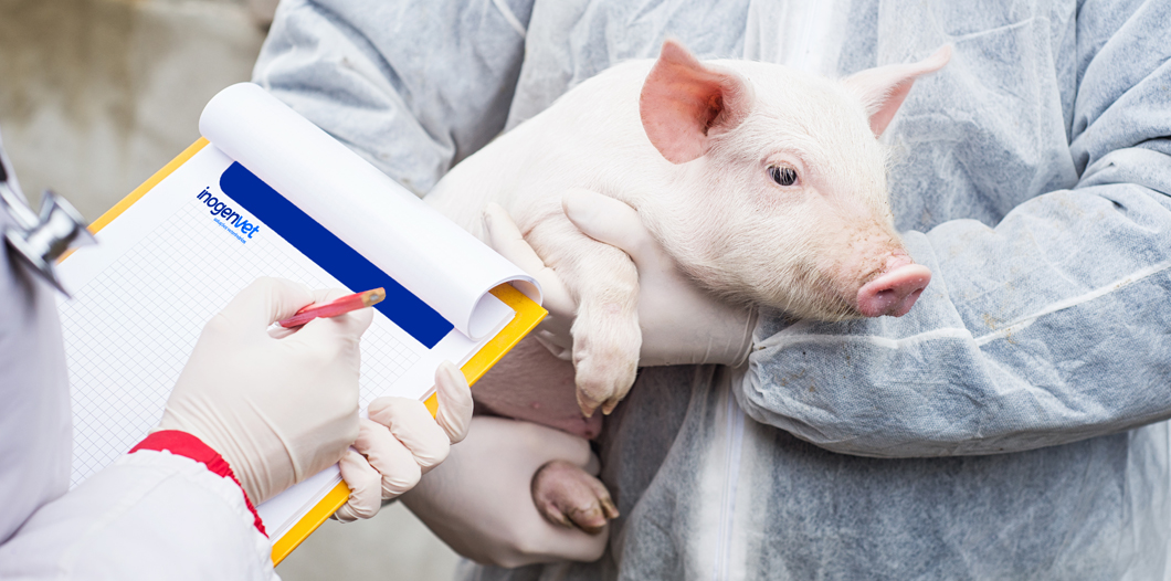 ANIMAIS DE PRODUÇÃO ANIMAIS DE PRODUÇÃO