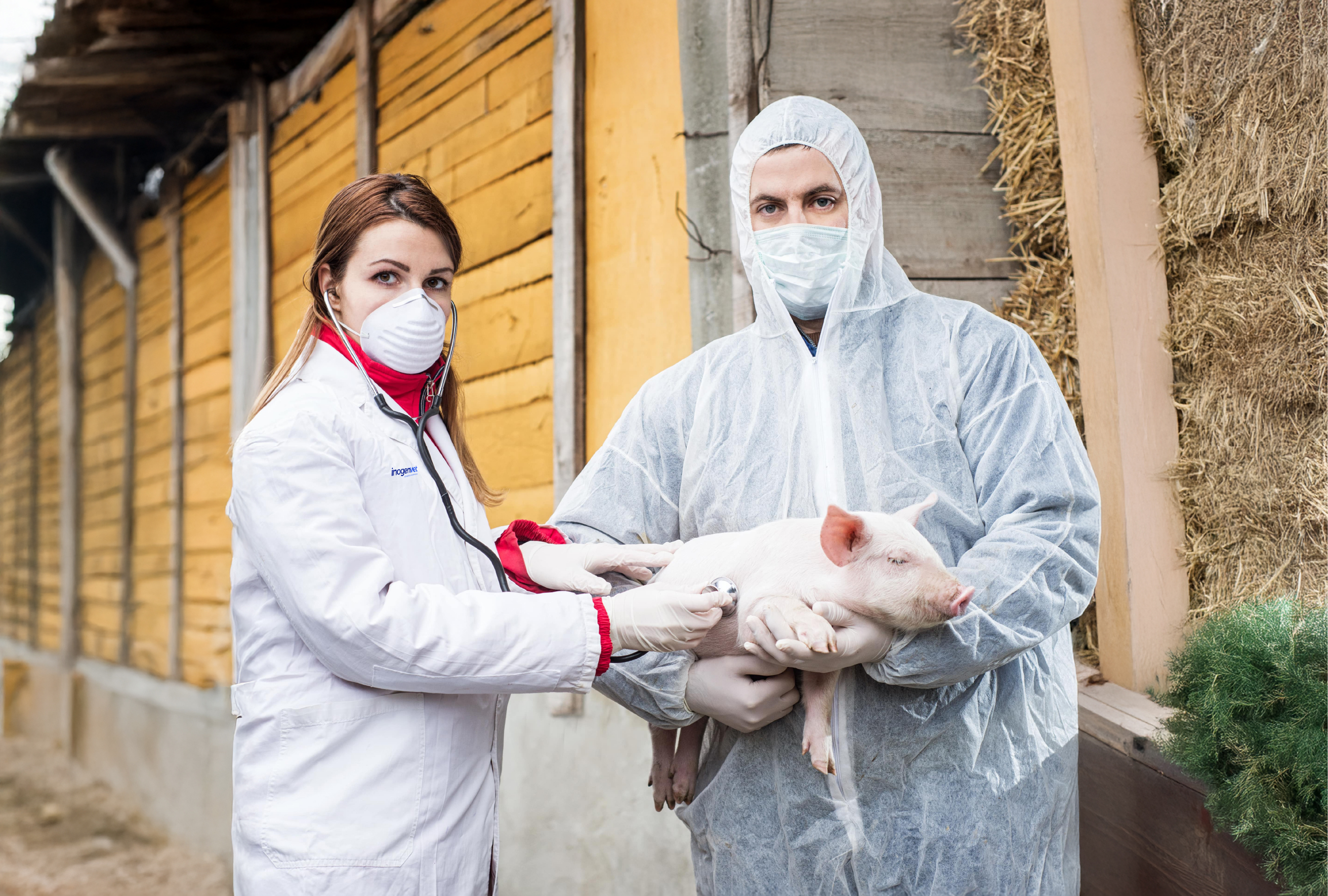 ANIMAIS DE PRODUÇÃO ANIMAIS DE PRODUÇÃO